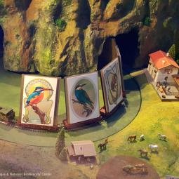 Naturalis Museum. Portraits of particular animals in the 'Seduction' section