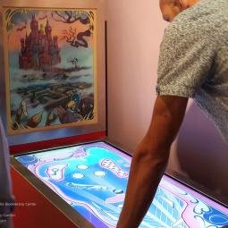 Naturalis Museum. Pin ball in the 'Sex' section. Illustrated front. 