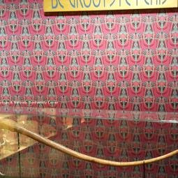 Naturalis Museum. Wallpaper design in place in the exhibition. 'Sex' section