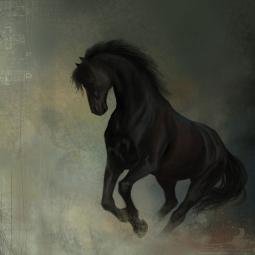 Black horse. Commissioned. Digital. 