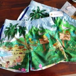 Artwork for Sanwin swimming shorts. Actual Shorts. Digital